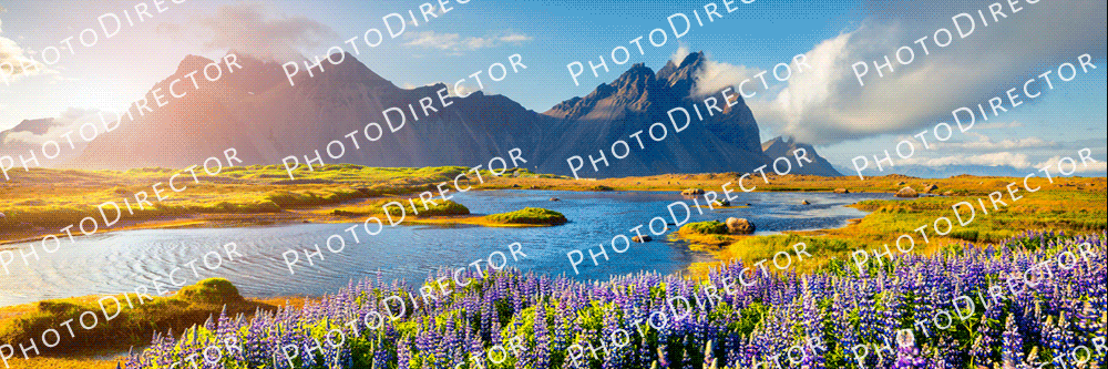 How to Remove Watermarks from Photos for Free Online and on Windows or Mac  