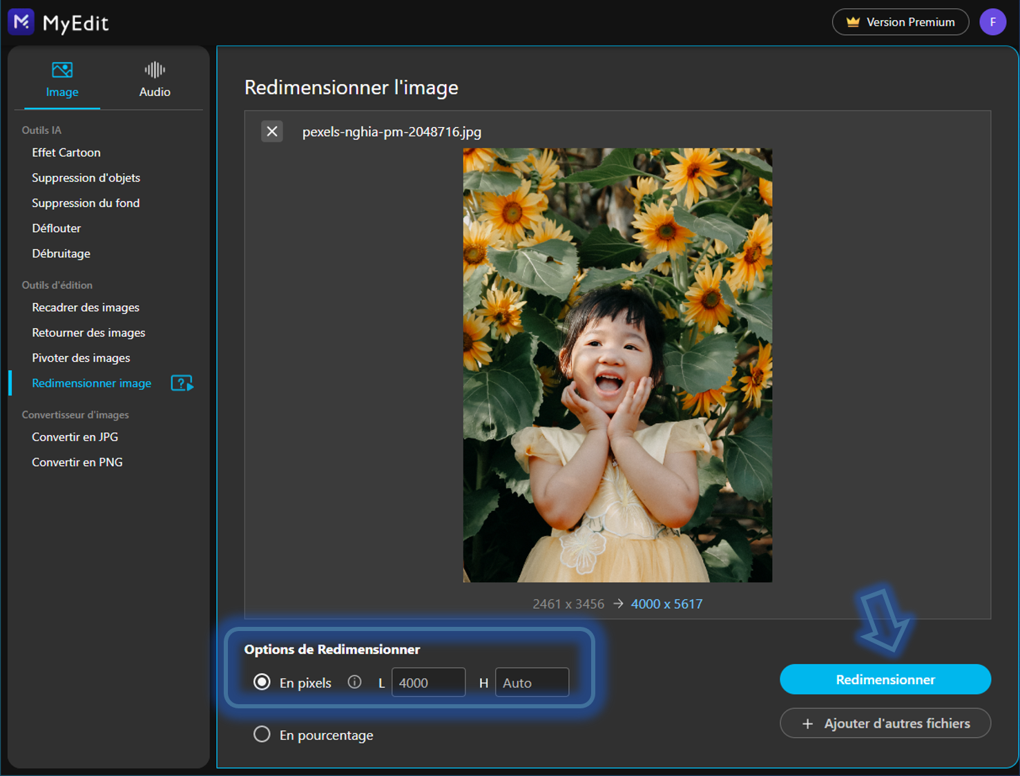 Tutoriel - Agrandir une image en ligne - Etape 4