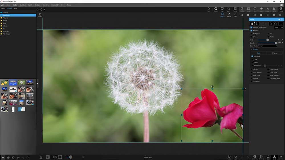 PhotoDirector Interface