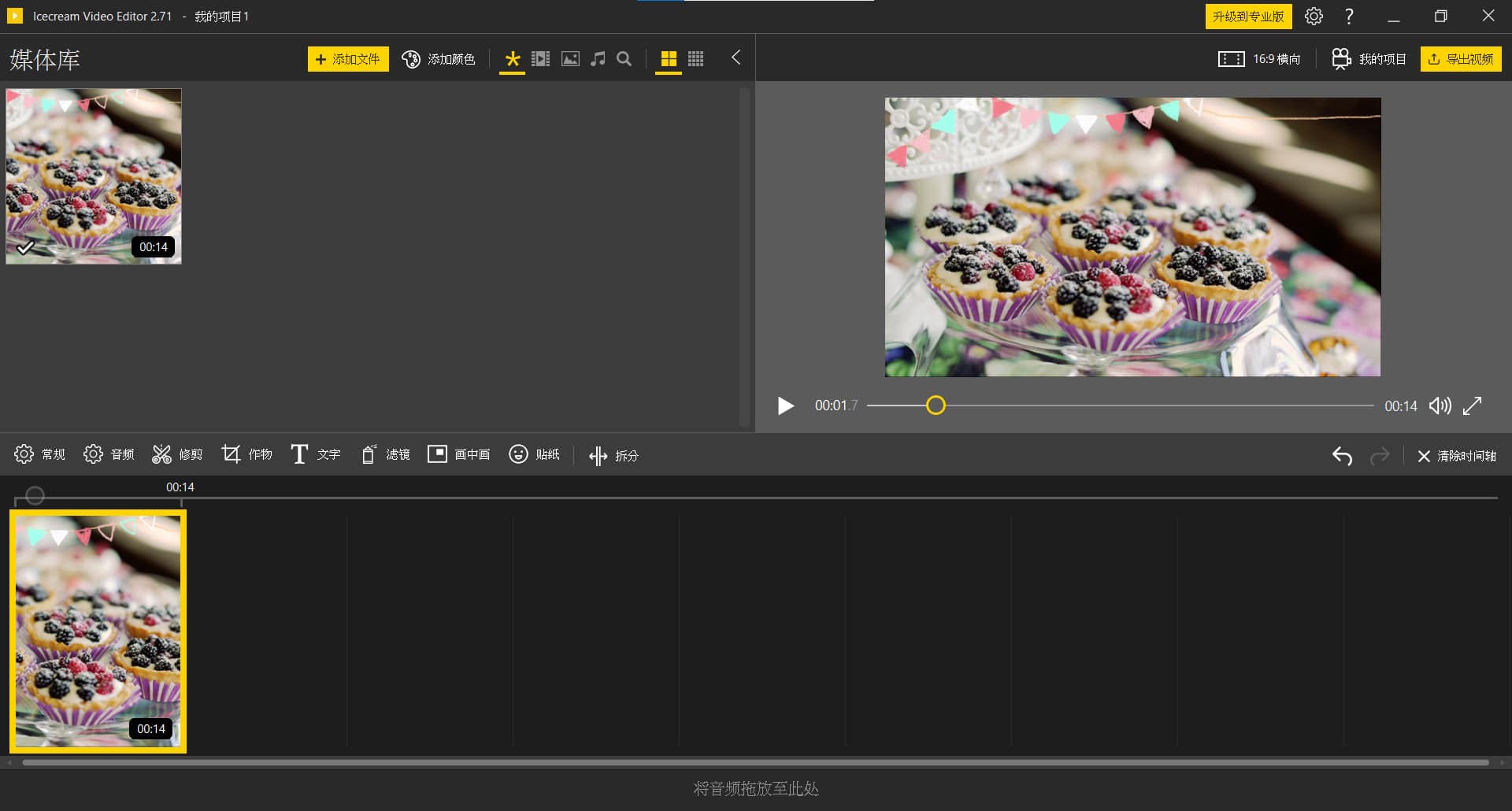 IceCream Video Editor