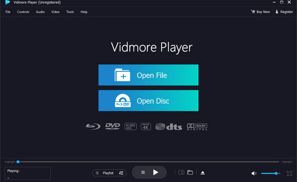 Vidmore Player Interface