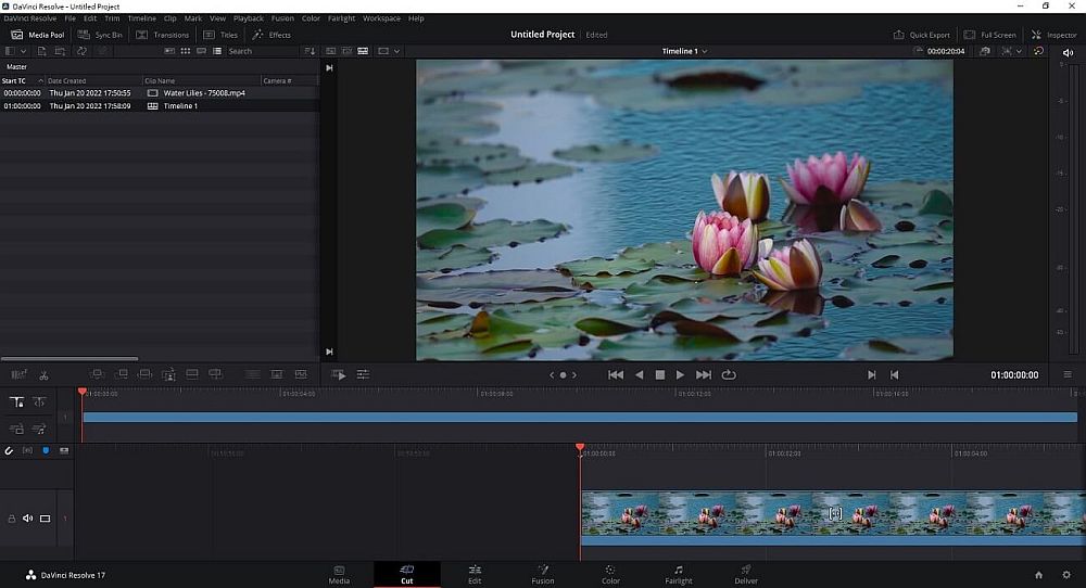 Die Oberfläche von DaVinci Resolve