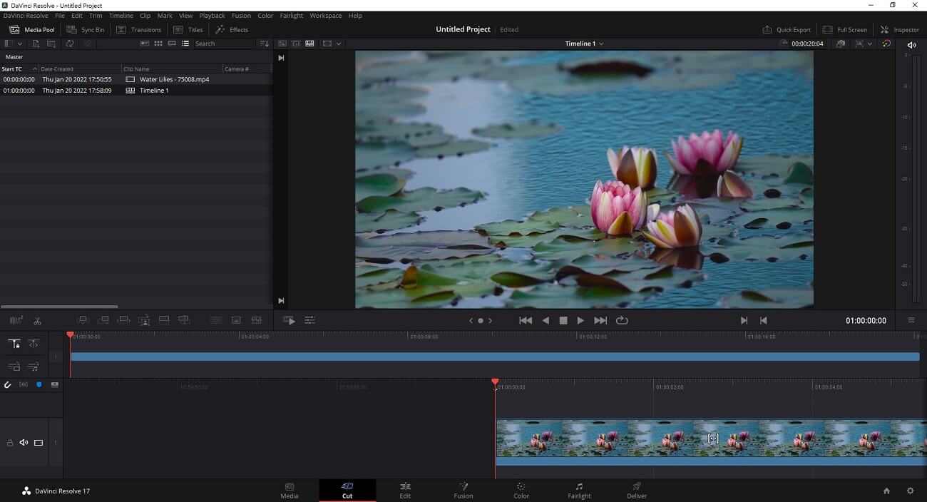 DaVinci Resolve Interface