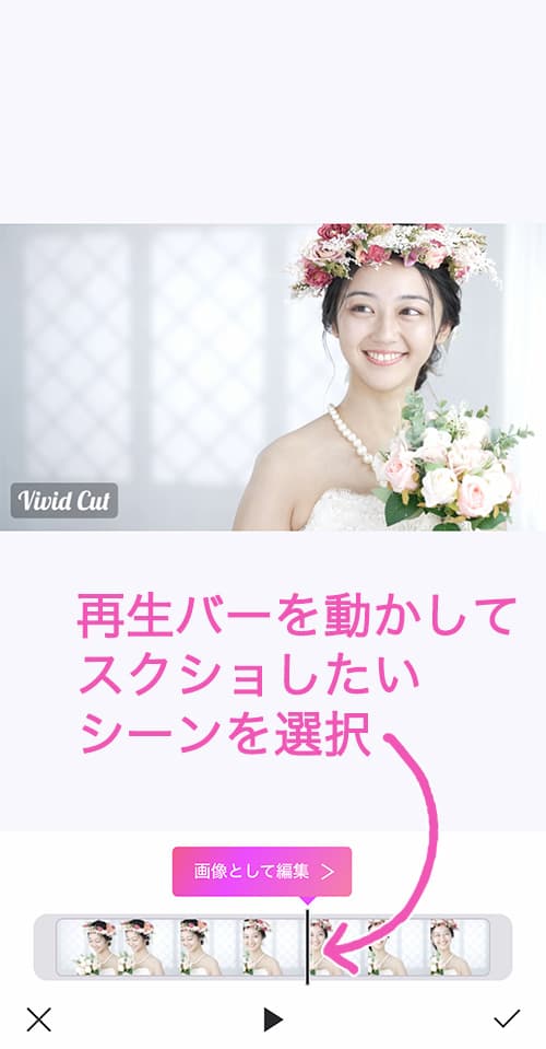 Vivid Glamを使って動画を写真にする方法