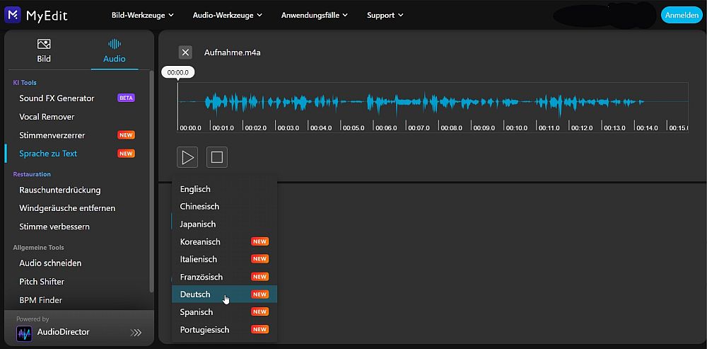 text in audio umwandeln