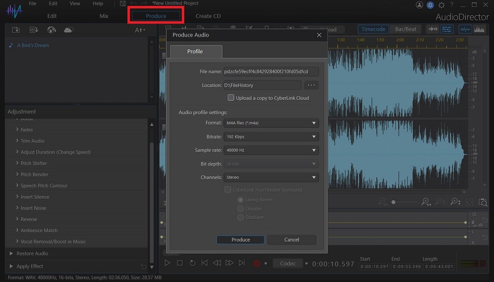 AudioDirector - Apply the Noise Gate