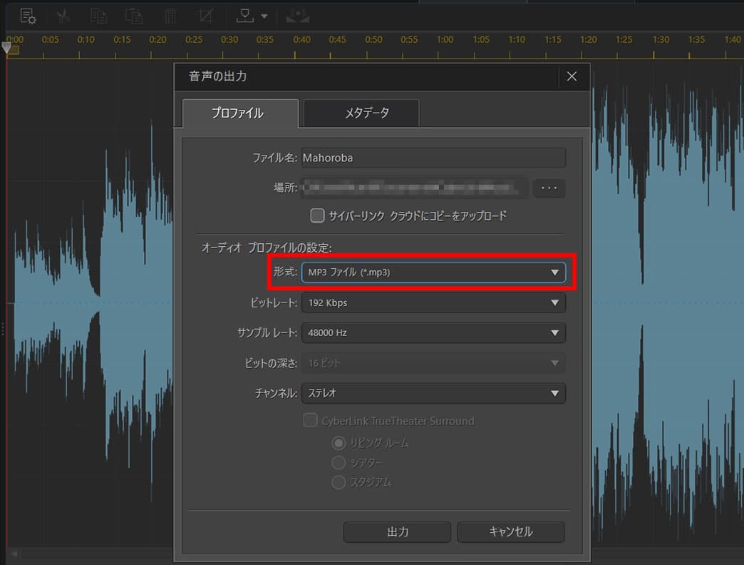 AudioDirector 出力画面