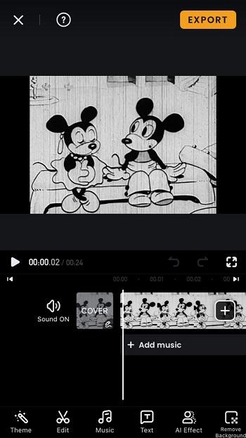 VivaVideo