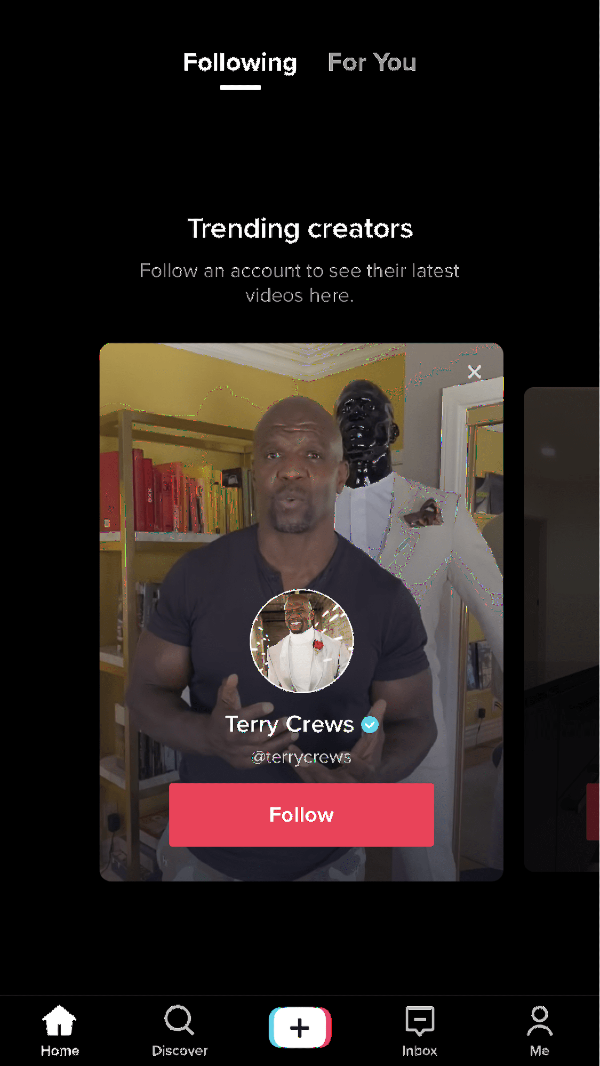 TikTok Interface