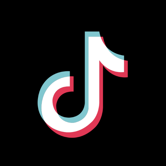 tiktok Logo