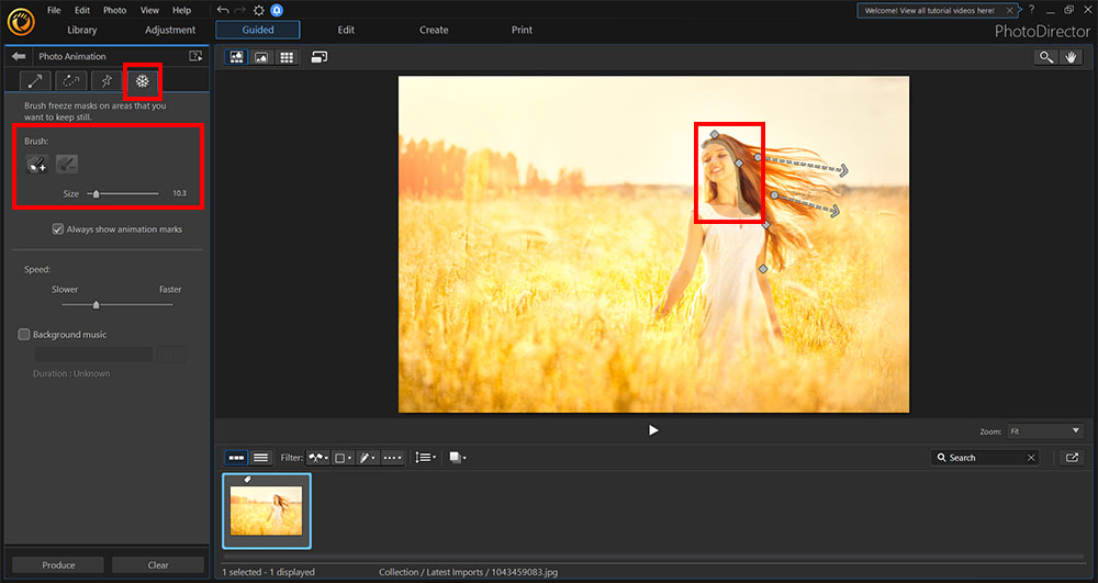 PhotoDirector - Congelar Área de la Animación