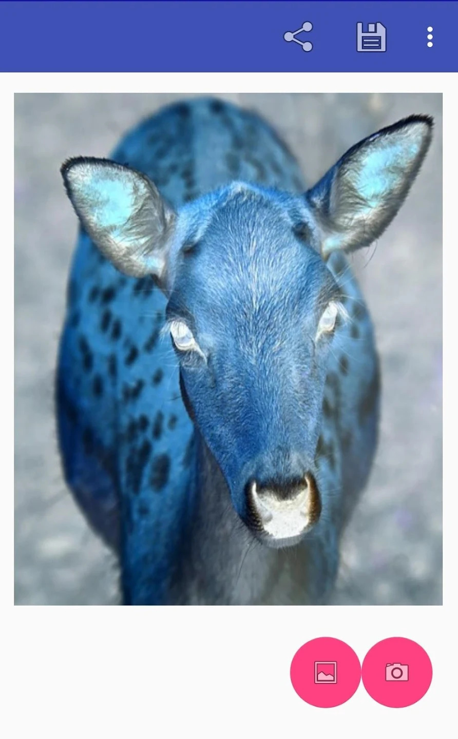 Negative Image