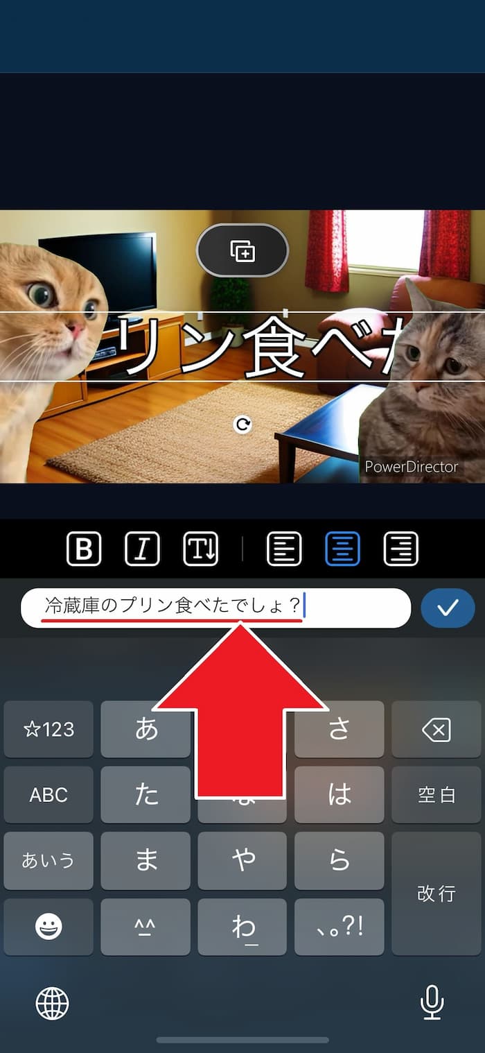 PDRM 文字入力