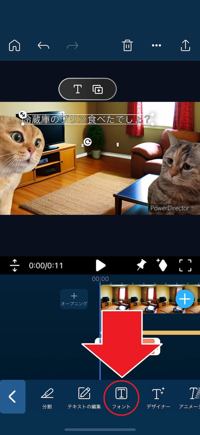PDRM フォント