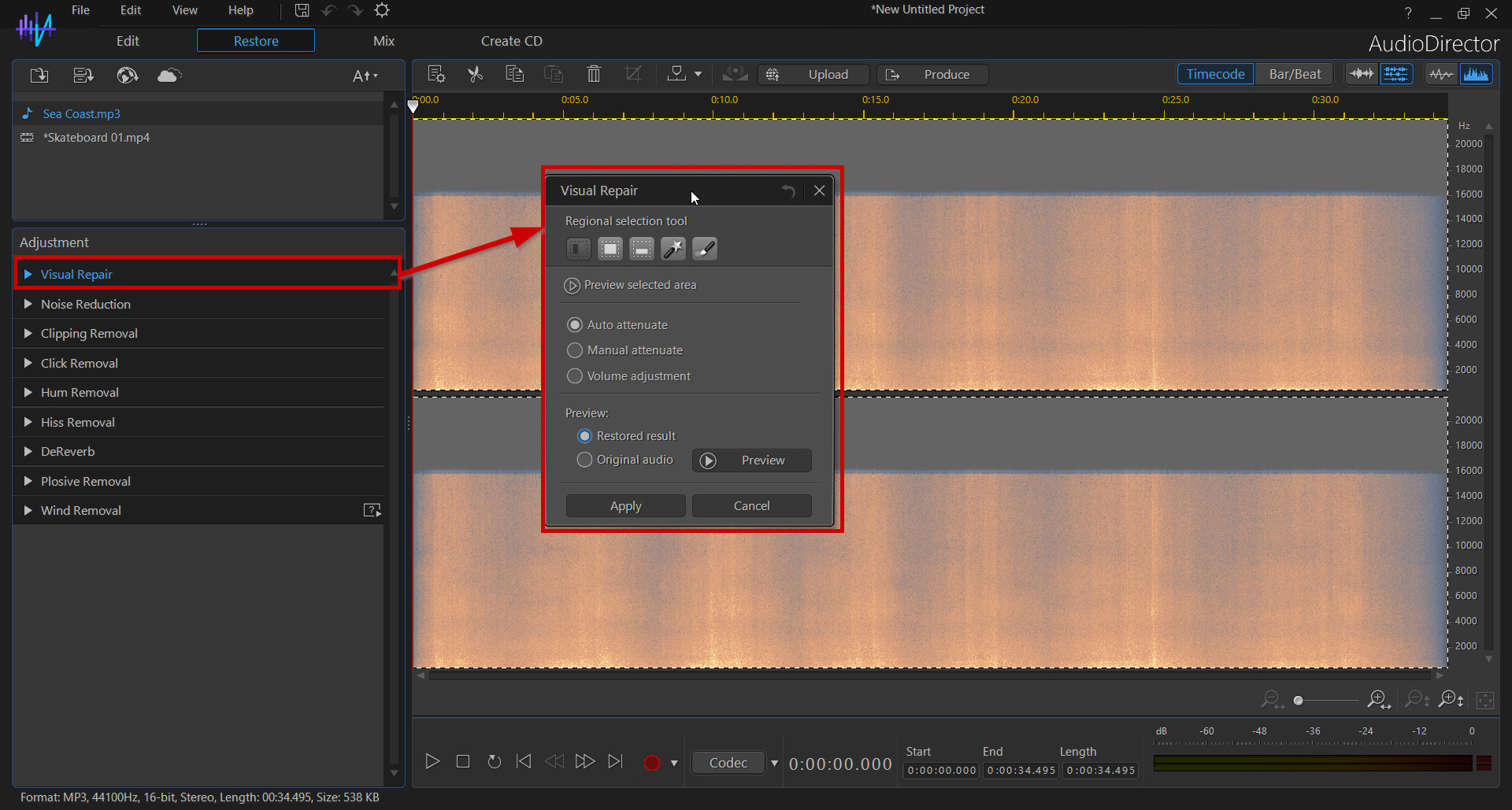 AudioDirector Visual Repair Setting