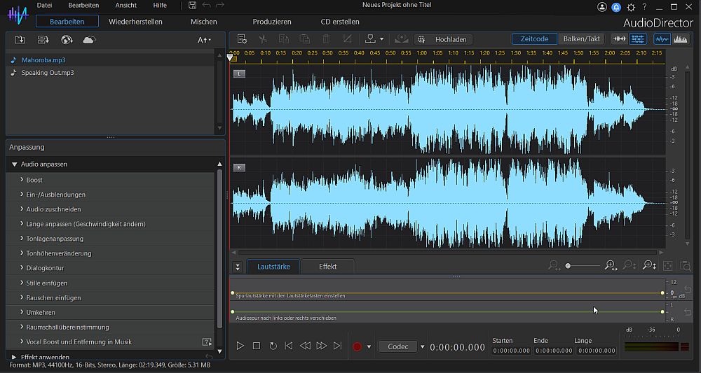 AudioDirector Interface