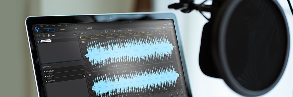 Die besten Vocal Remover