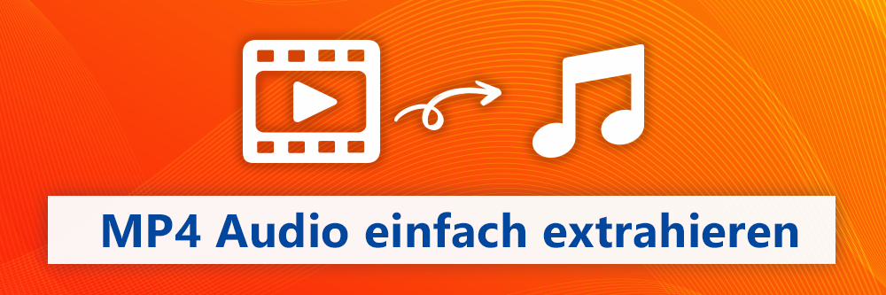 Audio aus einem MP4 Video extrahieren