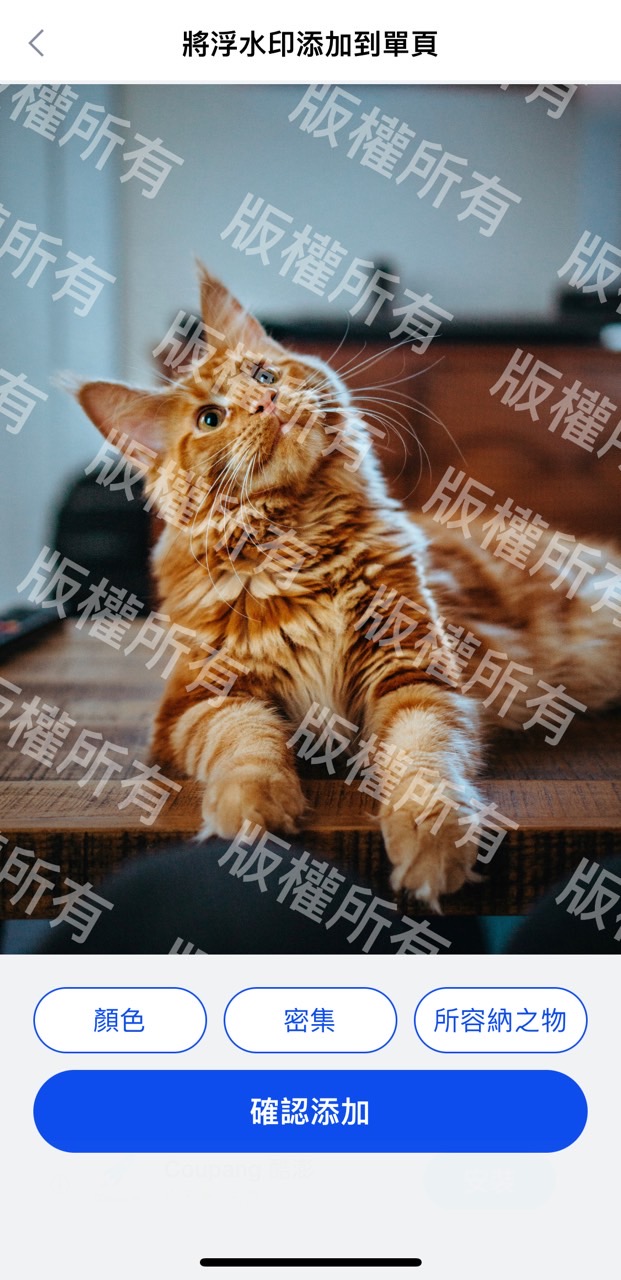浮水印俠範例