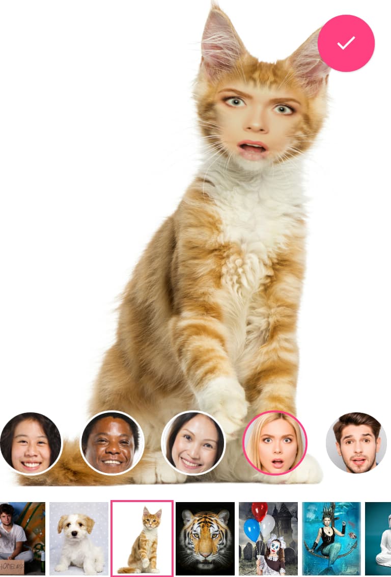 Face Changer App Face Changer App