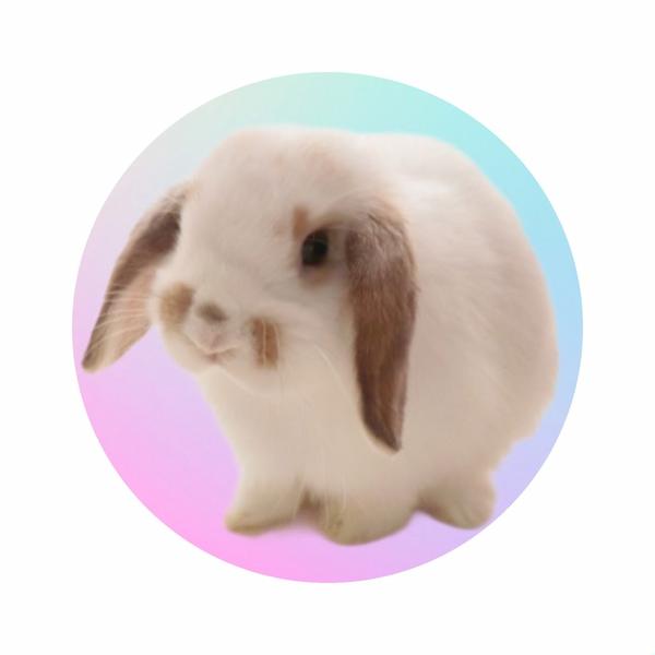 PhotoDirector インスタ アイコンサンプル