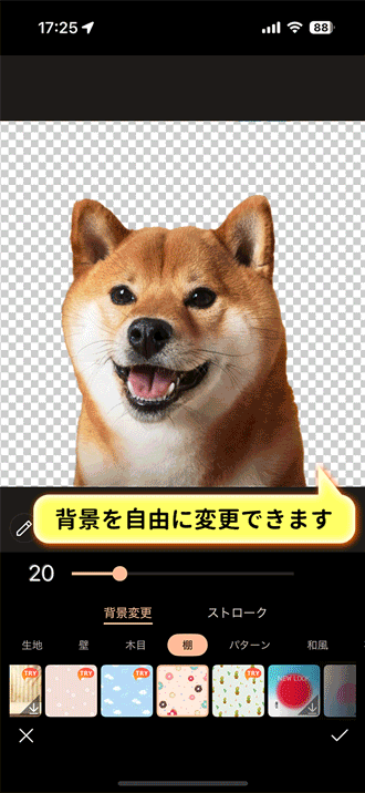 PhotoDirector 背景除去サンプル