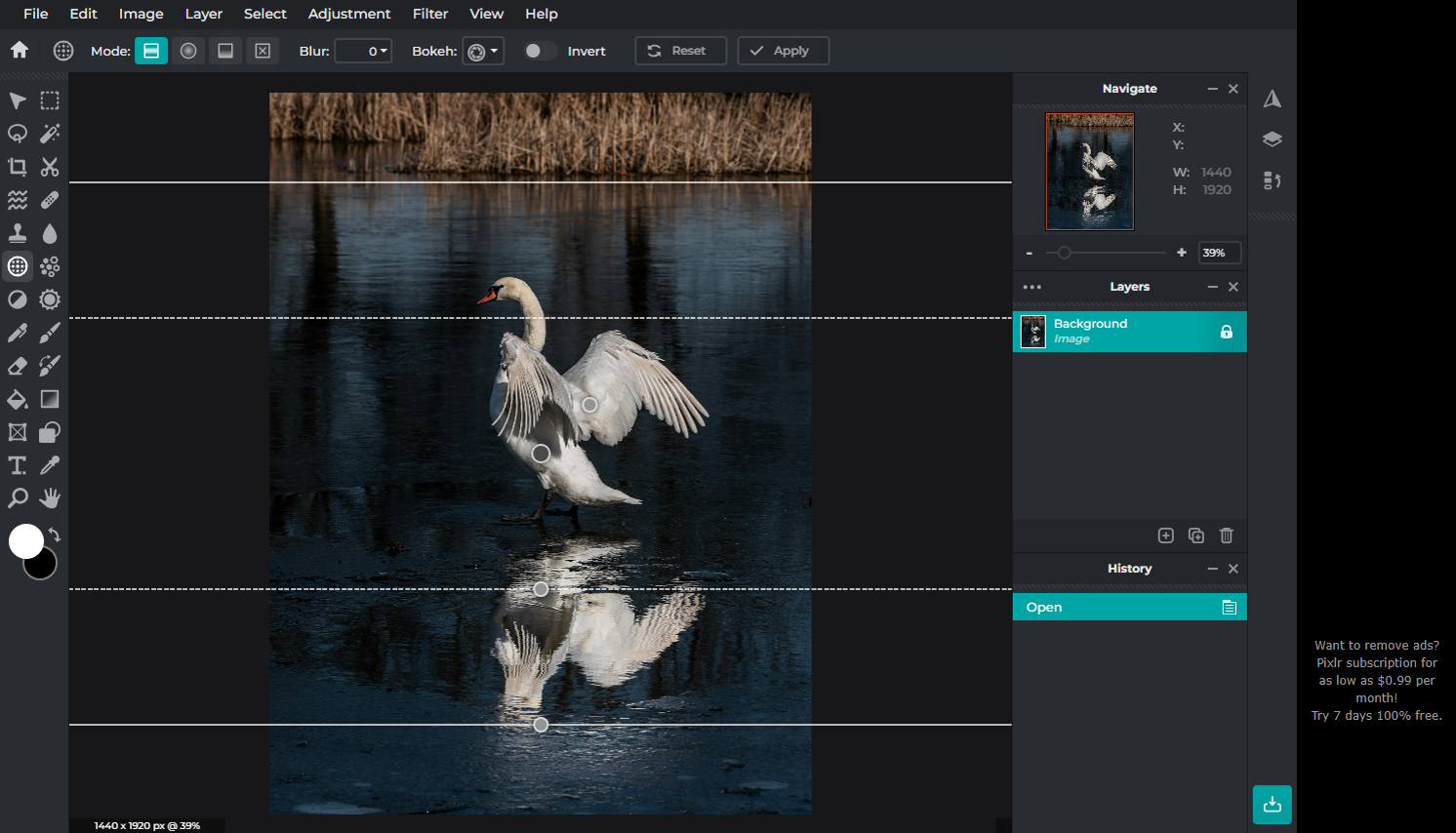 Pixlr X Interface