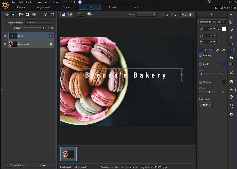 PhotoDirector - Add Text