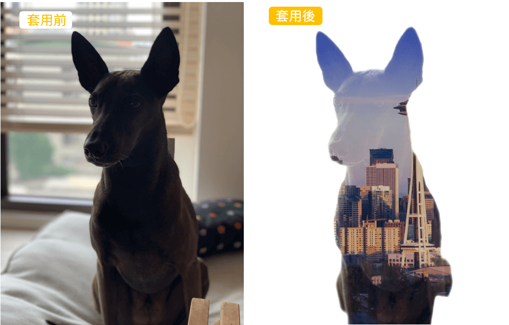 雙重曝光效果範例