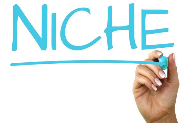 Find Your Niche