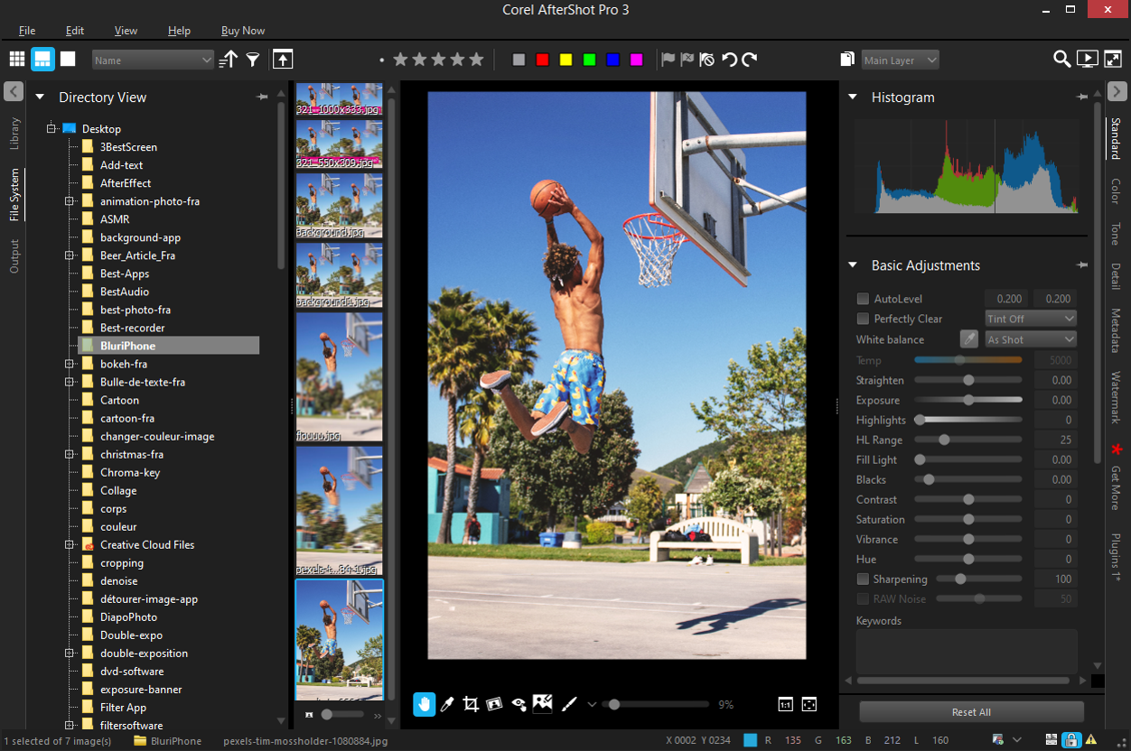 Corel Aftershot Interface