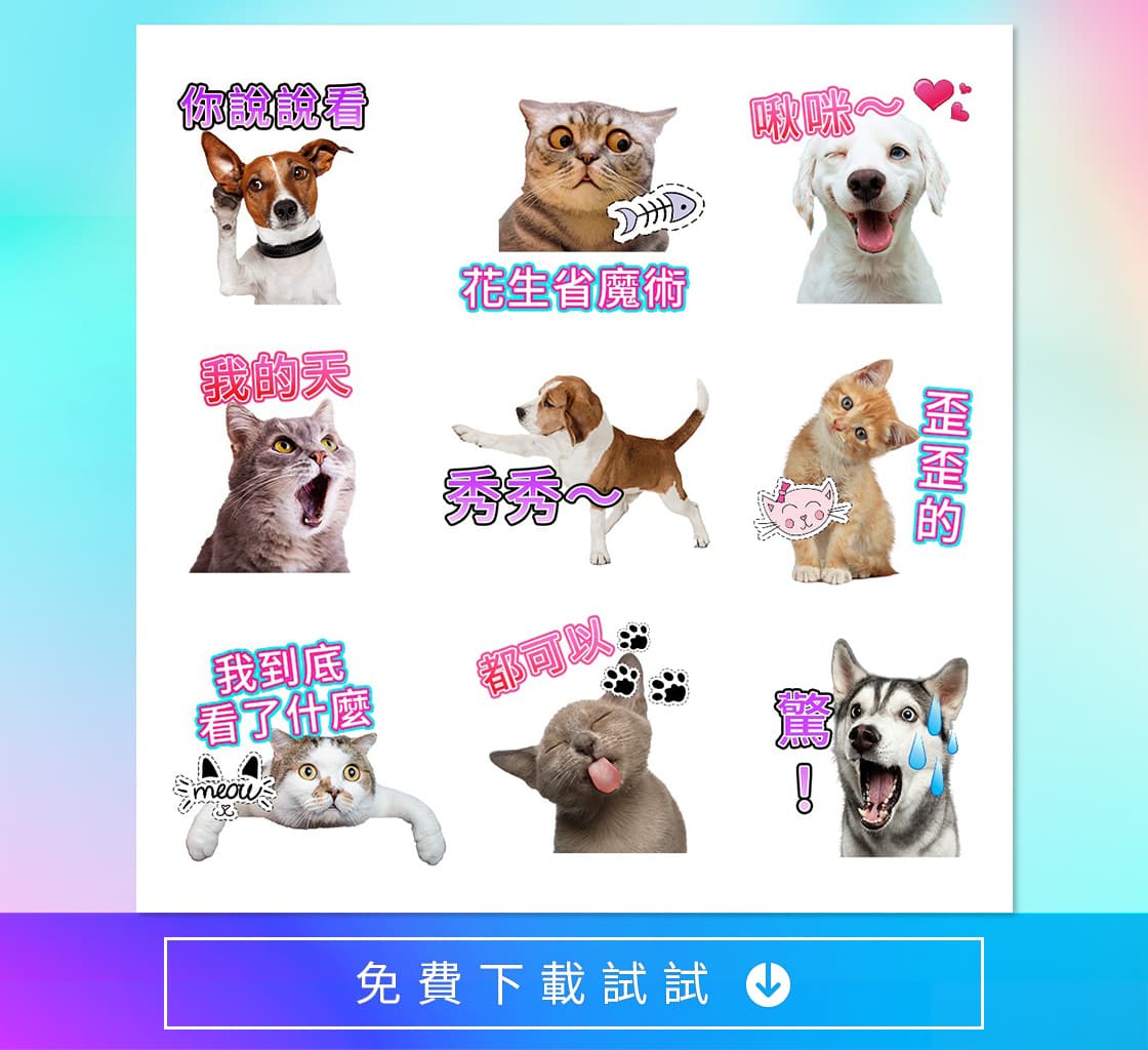 手機去背app貼圖