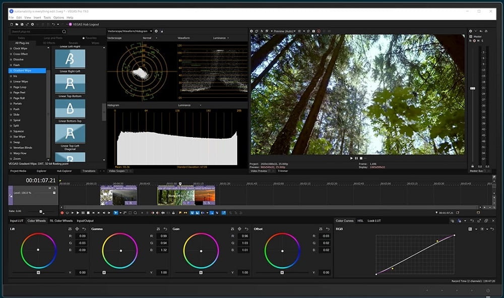 VEGAS Pro Interface