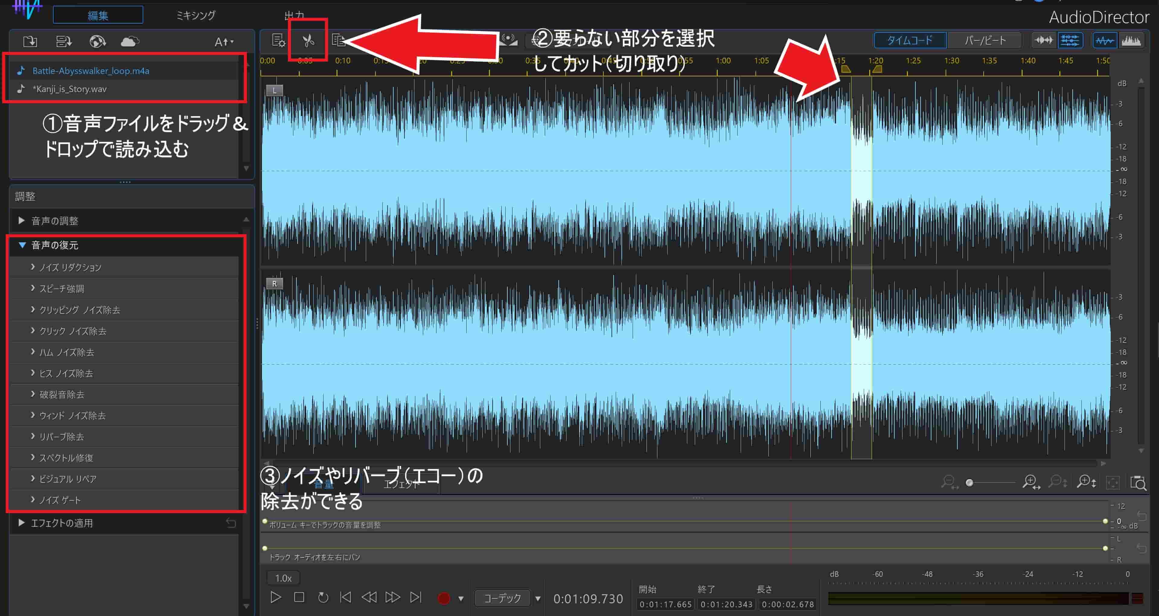 AudioDirector