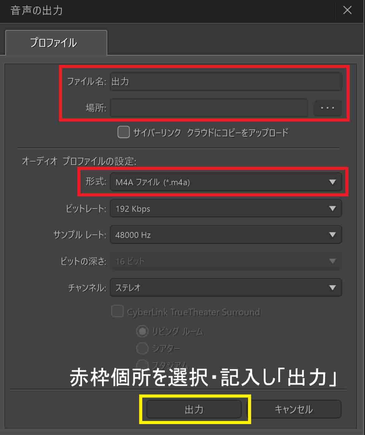 AudioDirector
