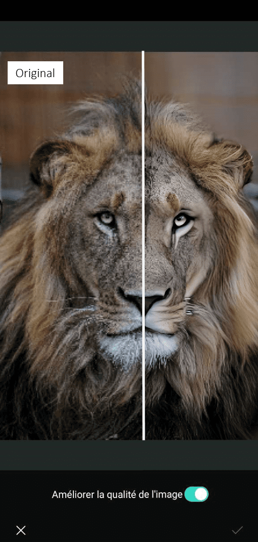 PhotoDirector