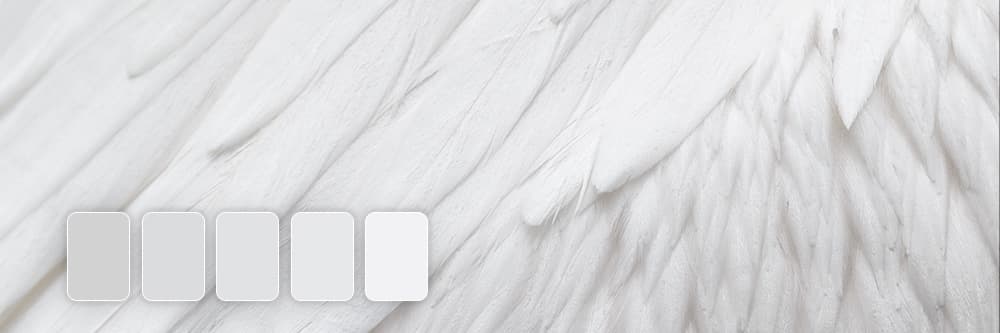 Comment mettre un fond blanc sur une photo gratuitement?