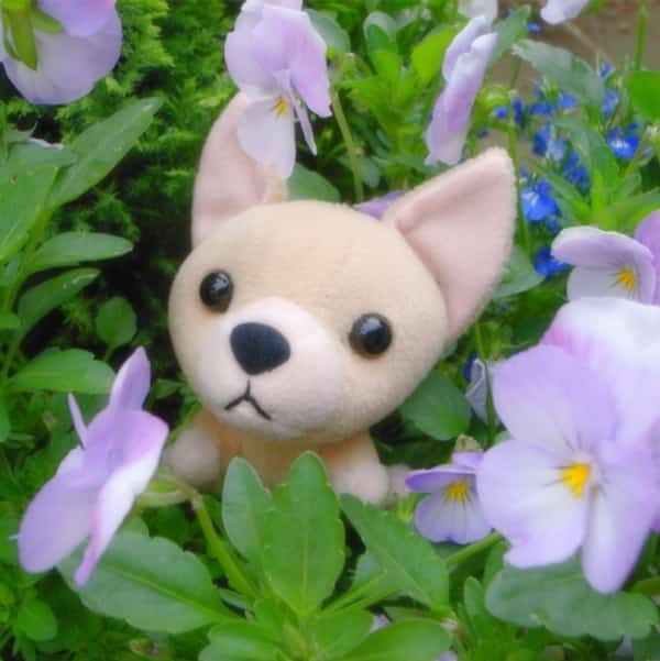 ぬい撮り 自然光 サンプル