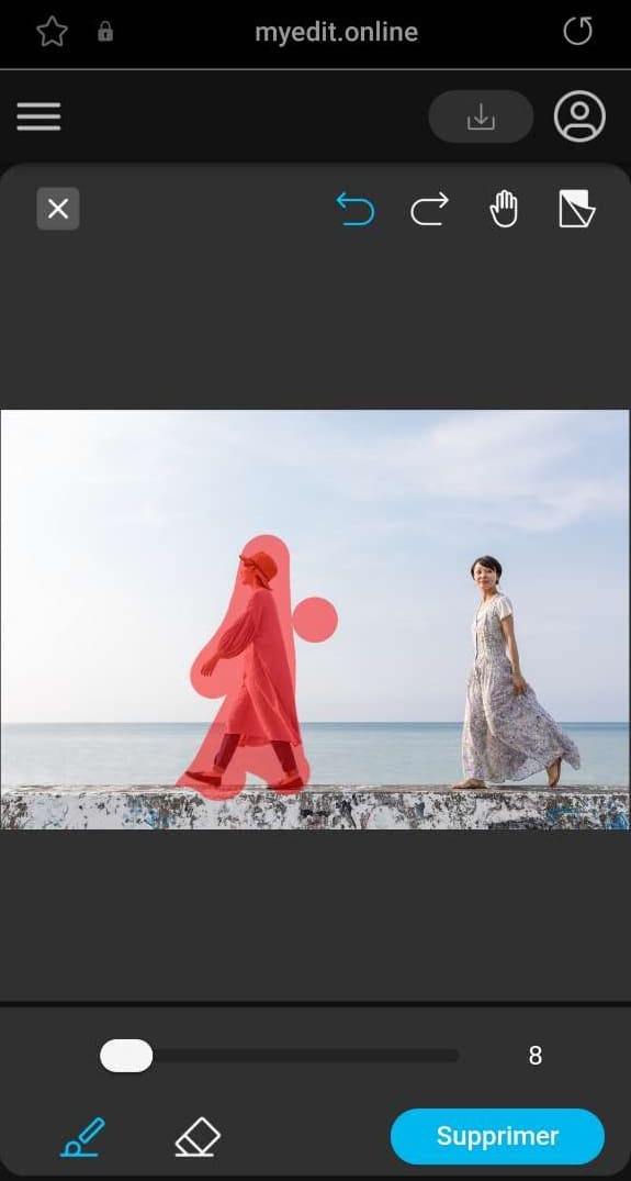 Enlever une personne sur un photo en ligne avec MyEdit