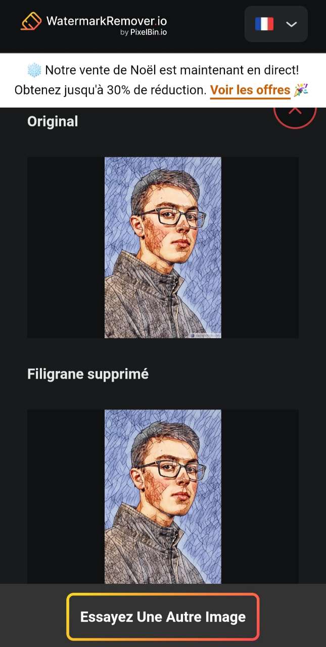 WatermarkRemover.IO Interface - Suppression de filigrane