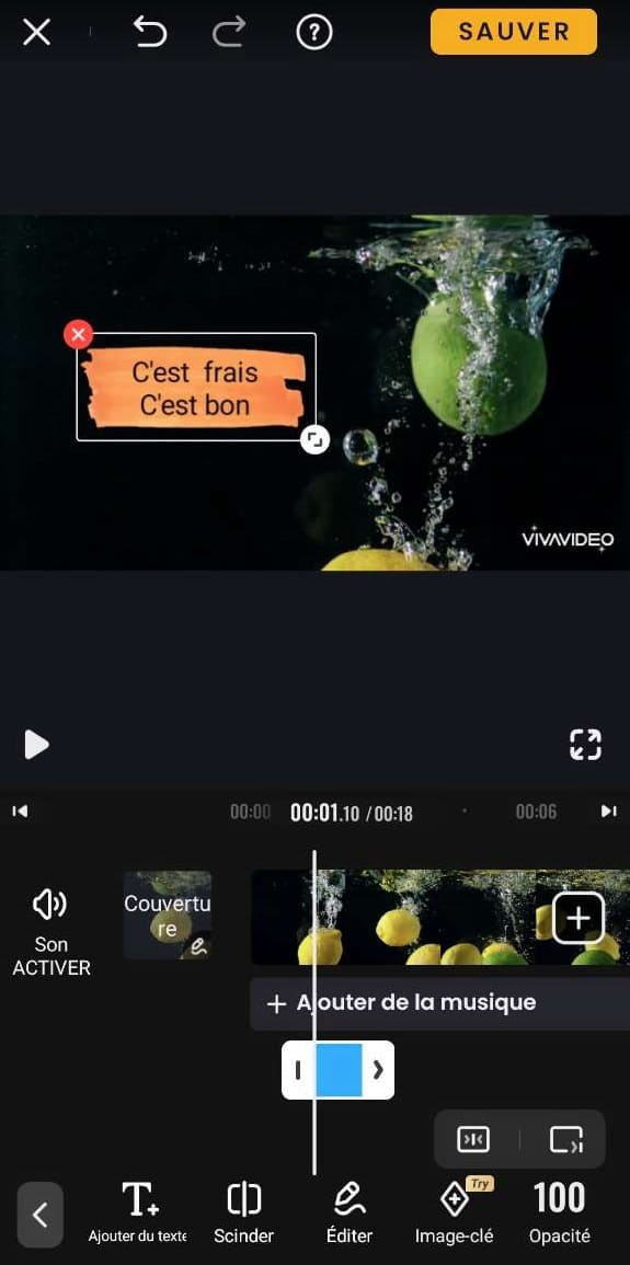 vivavideo - Meilleur choix pour des vidéos fun sur les réseaux sociaux
