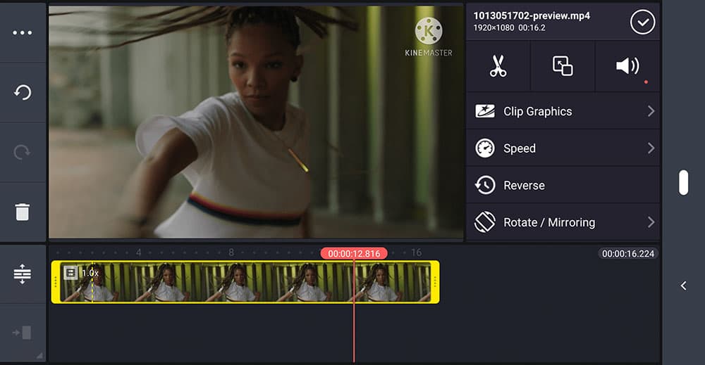 Kinemaster Interface