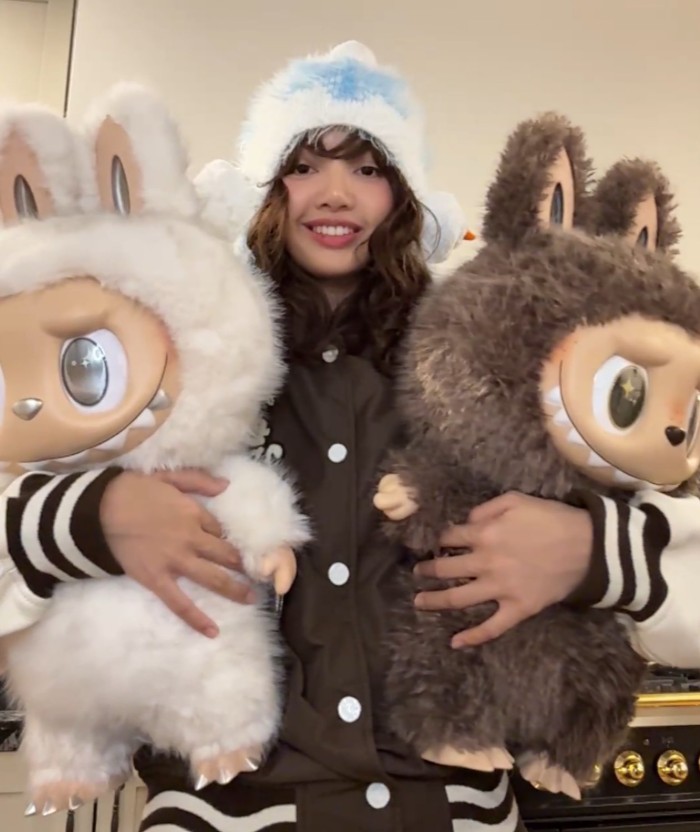 Labubu 紅什麼？Lisa抱著Zimomo 