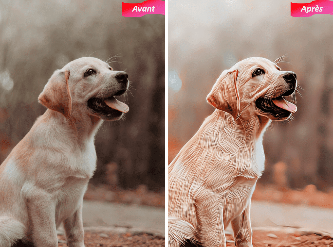 Photo d'un animal transformée en dessin avec PhotoDirector