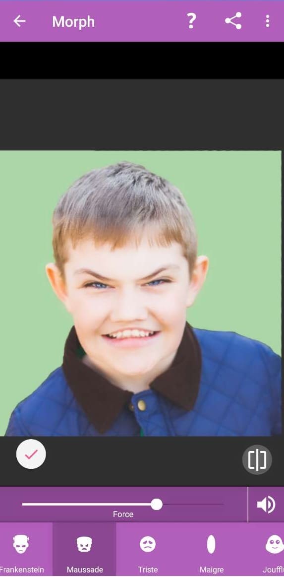 Face Changer 2