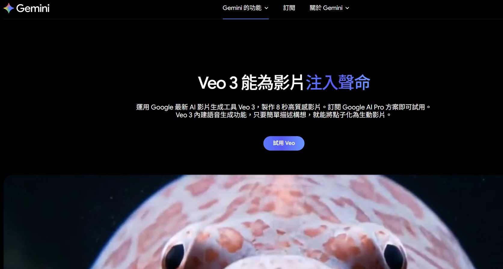 Gemini生成影片