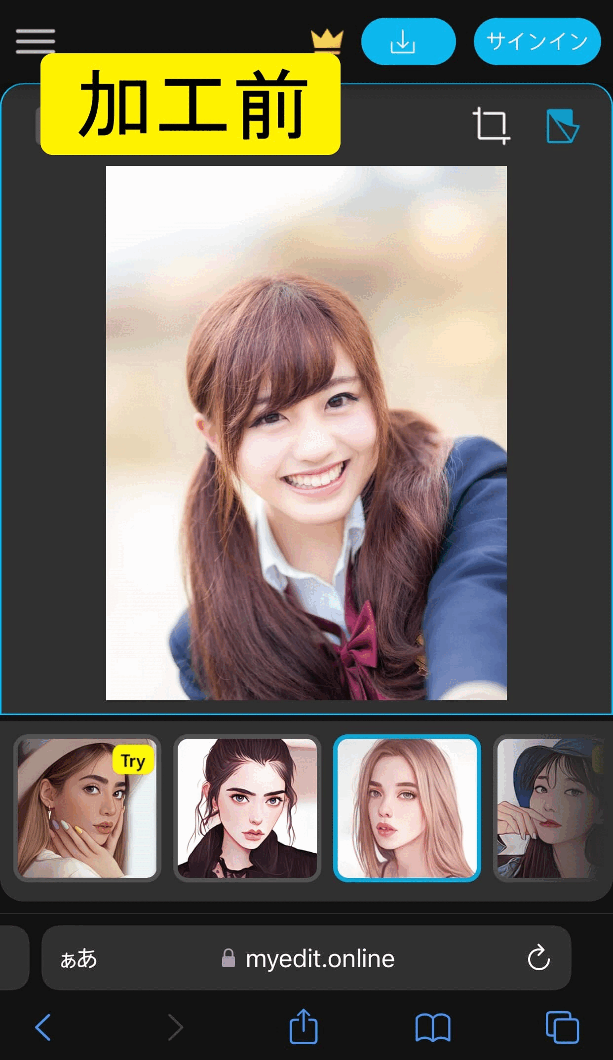 MyEdit 使用例