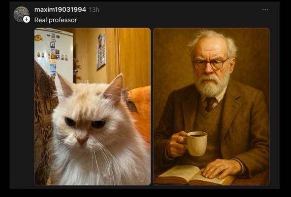 Pet to Human