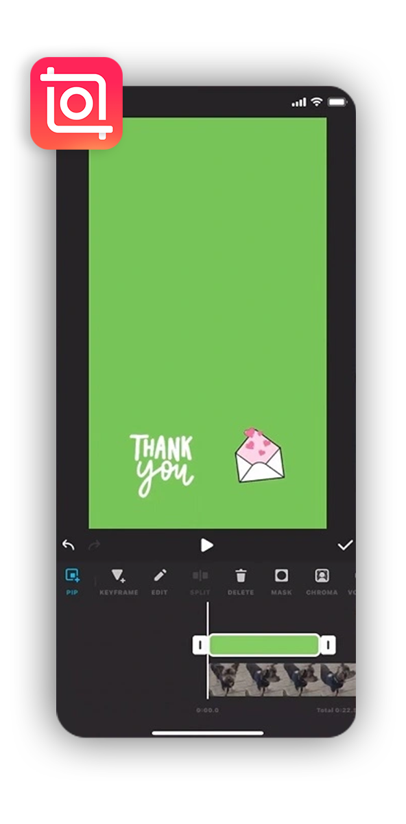 Inshot Interface