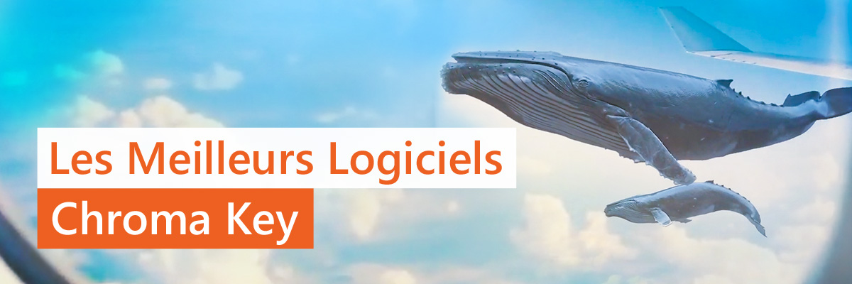Les 5 meilleurs logiciels de clé chromatique